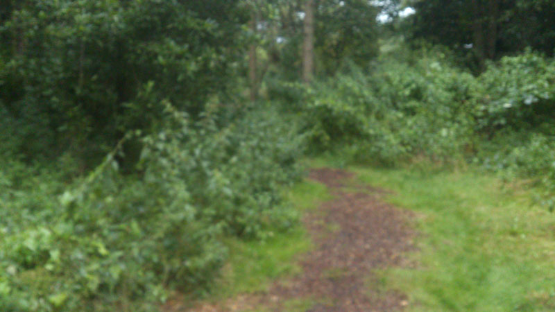 Cooper Lane assault course