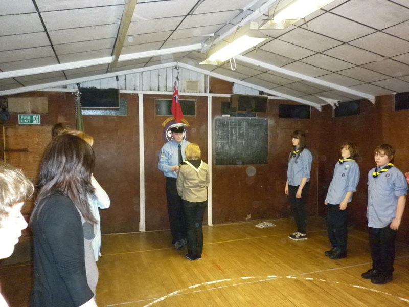 Harneses + Investiture