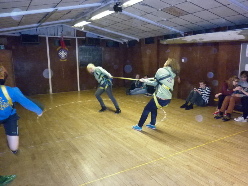 Harneses + Investiture