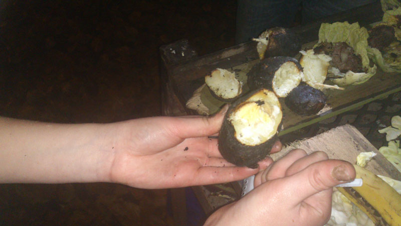 GTS - Backwoods Cooking