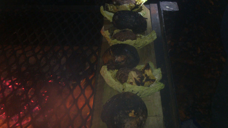 GTS - Backwoods Cooking